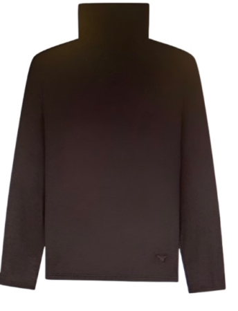 EMPORIO ARMANI UOMO Lupetto in jersey di modal elasticizzato con logo colore marrone scuro